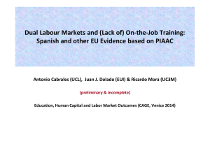 Dual Labour Markets and (Lack of) On-the-Job Training: (preliminary &amp; incomplete)