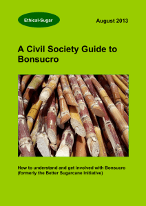 A Civil Society Guide to Bonsucro  August 2013