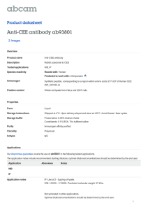Anti-CEE antibody ab93801 Product datasheet 2 Images