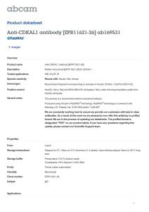 Anti-CDKAL1 antibody [EPR11621-26] ab169531 Product datasheet 3 Images Overview