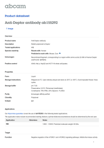 Anti-Deptor antibody ab155292 Product datasheet 1 Image