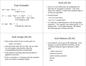 Awk (20.10) Expr Examples