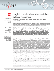 Hagfish predatory behaviour and slime defence mechanism