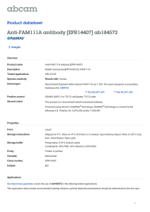 Anti-FAM111A antibody [EPR14407] ab184572 Product datasheet 2 Images Overview