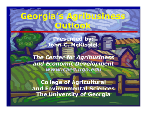 Georgia’s Agribusiness Outlook