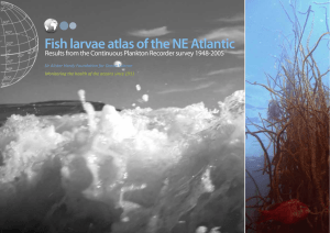 Fish larvae atlas of the NE Atlantic