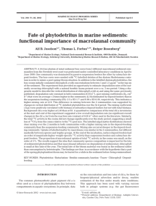 Fate of phytodetritus in marine sediments: functional importance of macrofaunal community