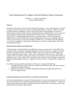 Cache Optimization for Adaptive Network Memory Engine (Anemone)