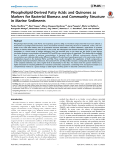 Phospholipid-Derived Fatty Acids and Quinones as