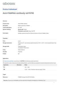 Anti-FAM96A antibody ab76780 Product datasheet
