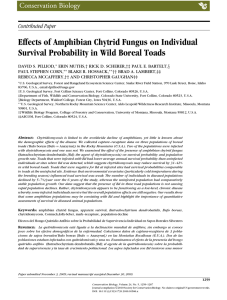 Effects of Amphibian Chytrid Fungus on Individual Contributed Paper