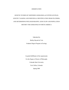 DISSERTATION  ACCIPITER GENTILIS GENETIC TAGGING AND INDIVIDUAL IDENTIFICATION FROM FEATHERS,