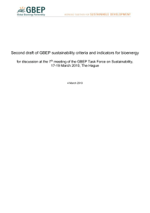 Second draft of GBEP sustainability criteria and indicators for bioenergy