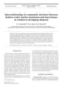 Interrelationships in community structure between shallow-water marine meiofauna and macrofauna
