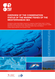 OVERVIEW OF THE CONSERVATION STATUS OF THE MARINE FISHES OF THE