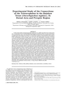 Experimental Study of the Connections of the Telencephalon in the Rainbow