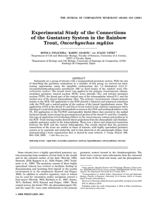 Experimental Study of the Connections Oncorhynchus mykiss