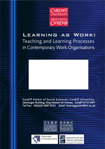 Learning as Work: Teaching and Learning Processes in Contemporary Work Organisations