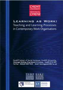 Learning as Work: Teaching and Learning Processes in Contemporary Work Organisations