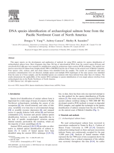 DNA species identification of archaeological salmon bone from the