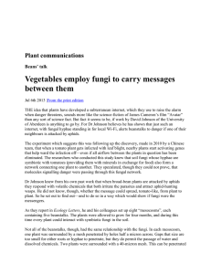 Vegetables employ fungi to carry messages between them Plant communications Beans’ talk