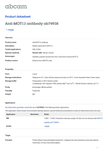 Anti-MOT13 antibody ab74938 Product datasheet 1 Image Overview