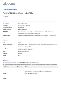 Anti-MUC5B antibody ab87376 Product datasheet 2 Images Overview