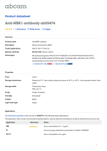 Anti-NBR1 antibody ab55474 Product datasheet 1 Abreviews 3 Images