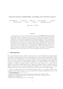 Spatial-temporal rainfall elds: modelling and statistical aspects