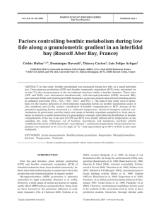 Factors controlling benthic metabolism during low