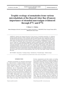 Trophic ecology of nematodes from various importance of stranded macroalgae evidenced