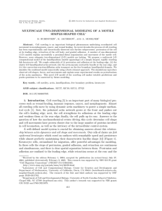 MULTISCALE TWO-DIMENSIONAL MODELING OF A MOTILE SIMPLE-SHAPED CELL