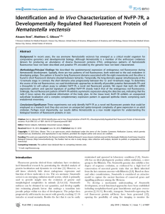 In Vivo Nematostella vectensis Identification and Characterization of NvFP-7R, a