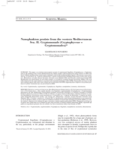 S M Nanoplankton protists from the western Mediterranean Sea. II. Cryptomonads (Cryptophyceae =