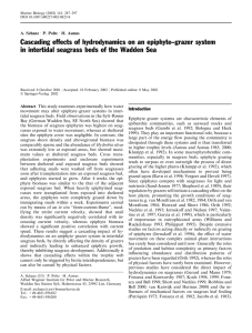 Cascading effects of hydrodynamics on an epiphyte–grazer system