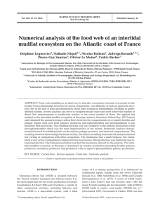Numerical analysis of the food web of an intertidal Delphine Leguerrier