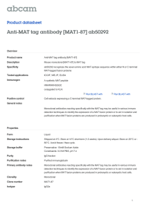 Anti-MAT tag antibody [MAT1-87] ab50292 Product datasheet Overview Product name