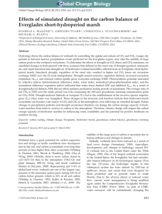 Effects of simulated drought on the carbon balance of