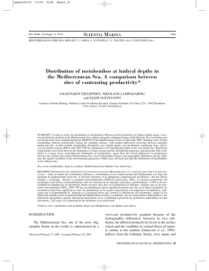 S M Distribution of meiobenthos at bathyal depths in