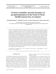 Vertical variability and diel dynamics of Mediterranean Sea, in summer