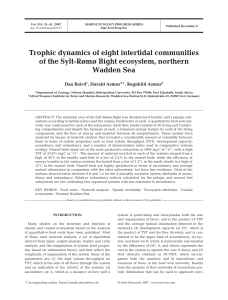 Trophic dynamics of eight intertidal communities Wadden Sea *, Ragnhild Asmus