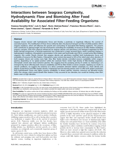 Interactions between Seagrass Complexity, Hydrodynamic Flow and Biomixing Alter Food