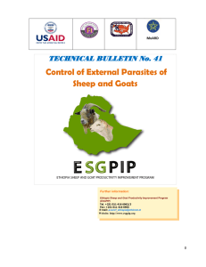 Control of External Parasites of Sheep and Goats  TECHNICAL BULLETIN No. 41