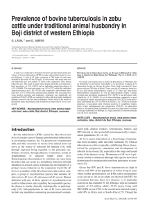 Prevalence of bovine tuberculosis in zebu Boji district of western Ethiopia