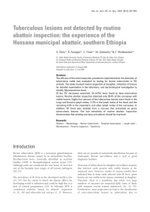 Tuberculous lesions not detected by routine Hossana municipal abattoir, southern Ethiopia