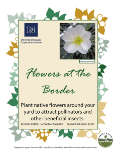 Flowers at the Border Plant native flowers around your  yard to attract pollinators and 