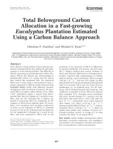 Total Belowground Carbon Allocation in a Fast-growing Using a Carbon Balance Approach Eucalyptus