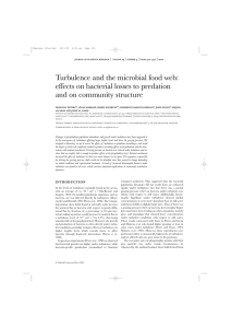 Turbulence and the microbial food web: and on community structure
