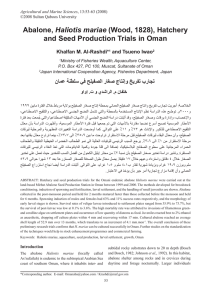 Haliotis  mariae and  Seed  Production  Trials  in  Oman Khalfan  M.  Al-­Rashdi*