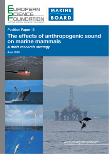 The effects of anthropogenic sound on marine mammals A draft research strategy